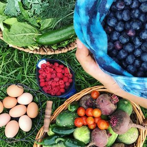 Fresh eggs and produce from Kaylan's home garden